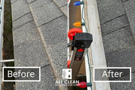 Gutter_Cleaning0110.jpg