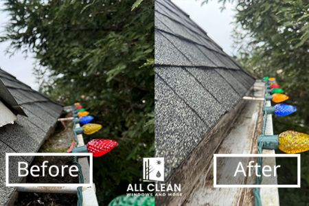 Gutter_Cleaning0120.jpg